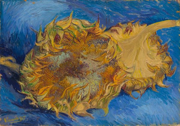 Two Cut Sunflowers | Vincent van Gogh | Painting Reproduction