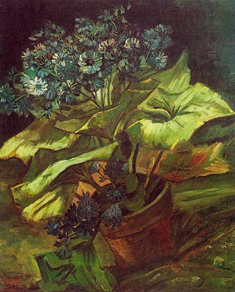 Cineraria in a Flowerpot, 1885 | Vincent van Gogh | Painting Reproduction