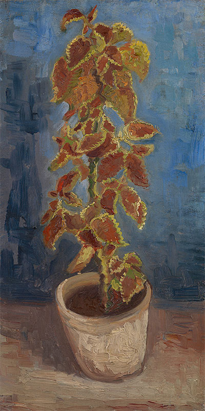 Flame Nettle in a Flowerpot, 1886 | Vincent van Gogh | Painting Reproduction