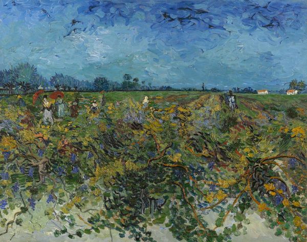 The Green Vineyard, 1888 | Vincent van Gogh | Painting Reproduction