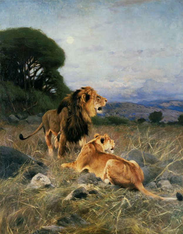 Wilhelm Kuhnert | African Lions, c.1911 African Lions, c.1911 | Wilhelm Kuhnert