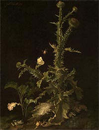 Thistle with Different Animals, 1671 by Willem van Aelst | Painting Reproduction