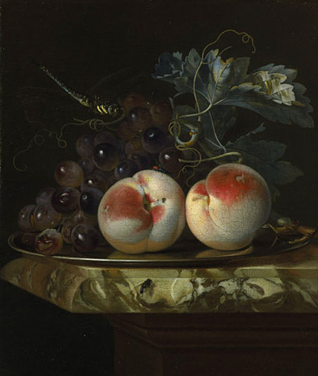 A Still Life with Two Peaches and Bunch of Grapes ..., 1664 by Willem van Aelst | Painting Reproduction