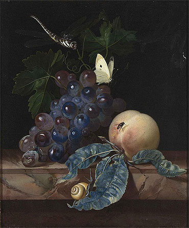 A Still Life with Grapes, Peach, Cabbage-White and Dragon-Fly, 1665 | Willem van Aelst | Painting Reproduction