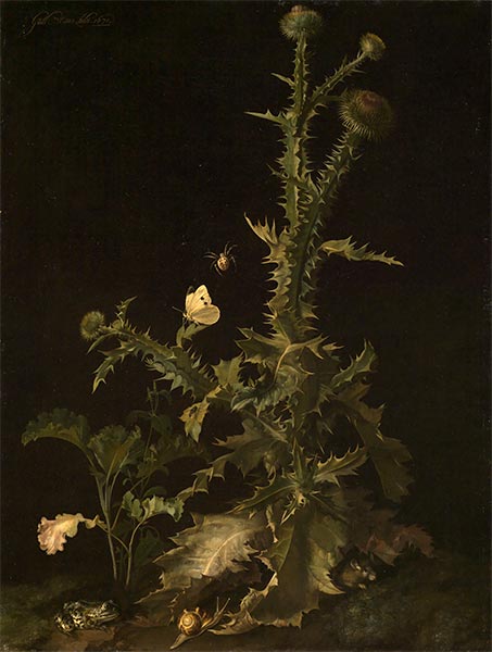 Thistle with Different Animals, 1671 | Willem van Aelst | Painting Reproduction