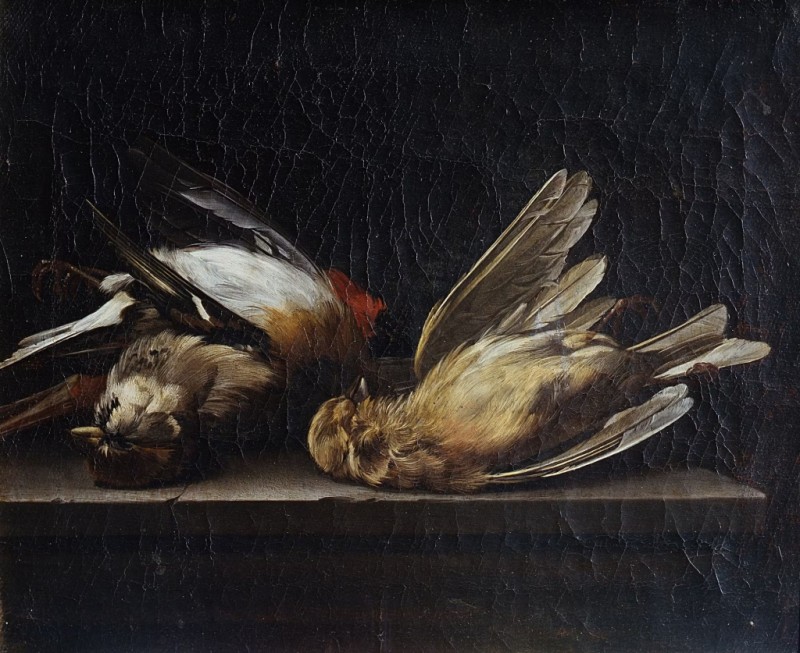 Stilleben: drei tote Vögel, 1650-1655 | Willem van Aelst