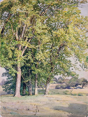 Maples in Chester County, Pennsylvania, 1889 | William Trost Richards | Gemälde Reproduktion
