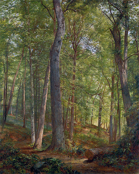 June Woods (Germantown), 1864 | William Trost Richards | Painting Reproduction