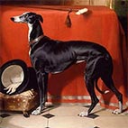Painting Reproductions of Animals
