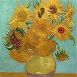 Seidenschal | Stillleben: Vase mit zwölf Sonnenblumen | Vincent van Gogh | Originalgemälde Thumb