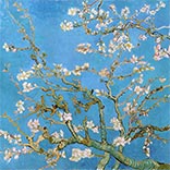 Seidenschal | Mandelblüten | Vincent van Gogh | Originalgemälde Thumb